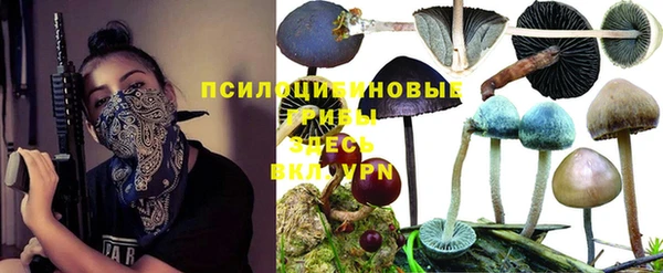 прущий лед Армянск