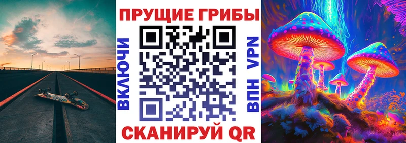 ОМГ ОМГ как зайти Ижевск Псилоцибиновые грибы MAGIC MUSHROOMS